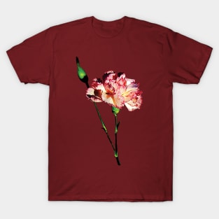 Carnations - Pink and White Carnation with Bud T-Shirt